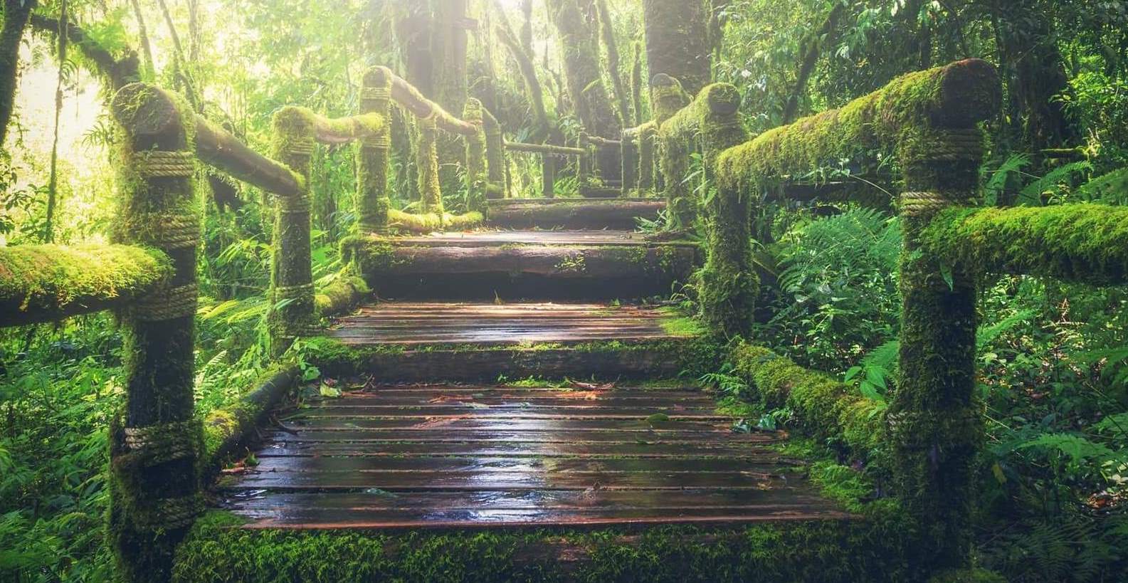 Aus der Komfortzone in Richtung Ziel