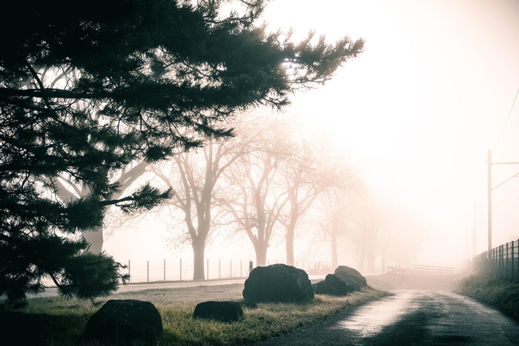 Weg, der vom Licht in den Nebel führt – symbolisiert wie Festhalten am Vertrauten der Grund ist warum sich mein Leben nicht verändert