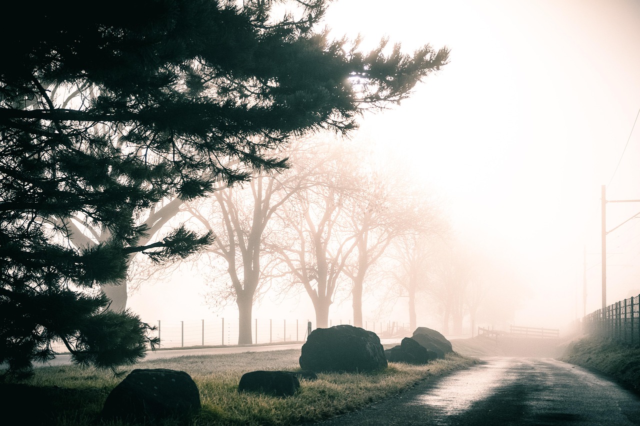 Weg, der vom Licht in den Nebel führt – symbolisiert wie Festhalten am Vertrauten der Grund ist warum sich mein Leben nicht verändert