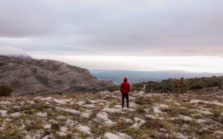 Person steht ruhig am Meer und blickt auf den Horizont – Symbol für Erdung und innere Stabilität