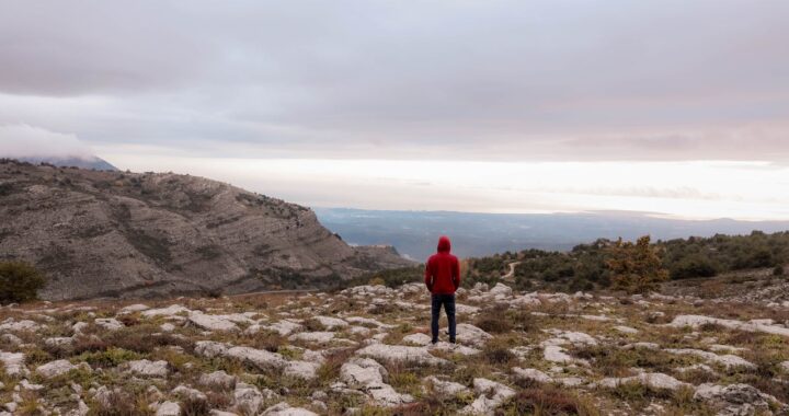 Person steht ruhig am Meer und blickt auf den Horizont – Symbol für Erdung und innere Stabilität
