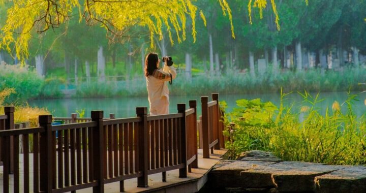 Frau steht am See, fotografiert die Natur und genießt die ruhige Umgebung